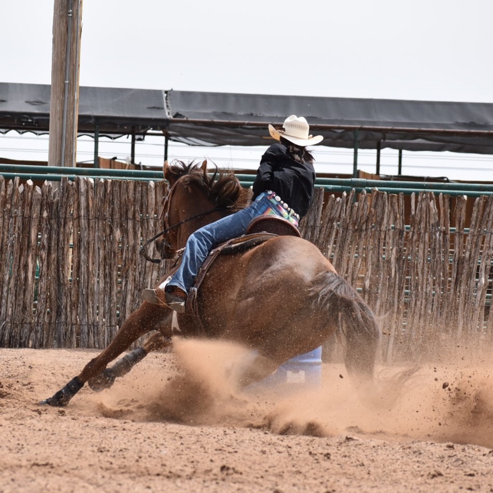 Meet your Posher, Cheyenne